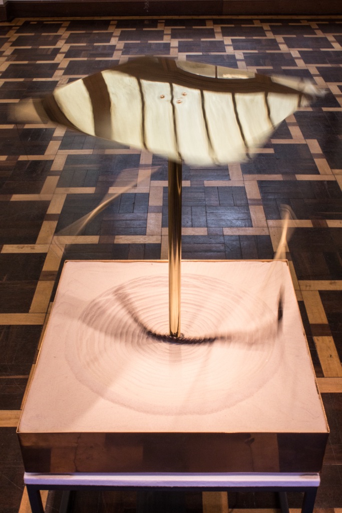 davidmedalla-CC-2754-120913