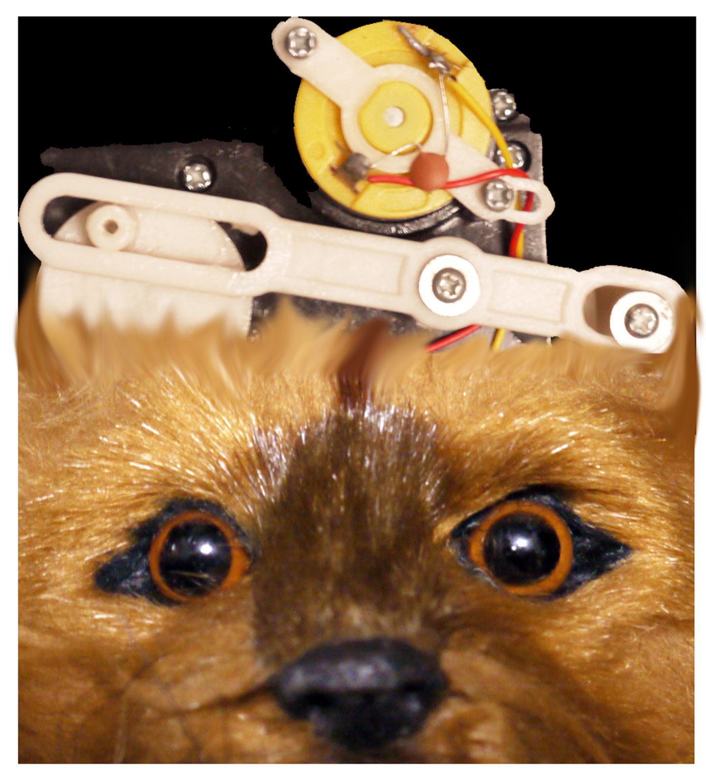 Carmen Araujo Arte, inicia el calendario expositivo del año con la exposición “X”, individual del artista Enrique Moreno.