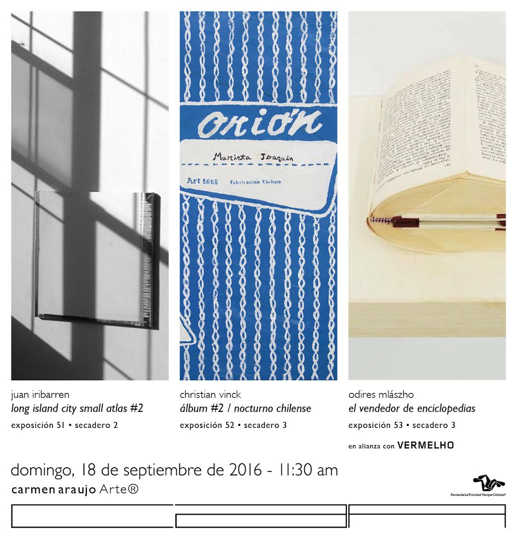 Tres artistas contemporáneos: Juan Iribarren, Christian Vinck y el brasilero Odires Mlászho.