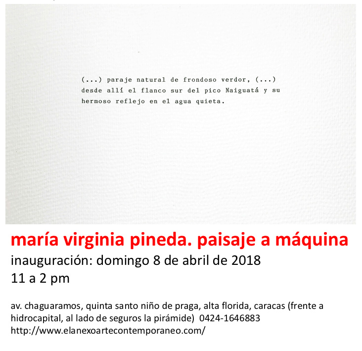 María Virginia Pineda muestra la traza inasible del paisaje a través de la palabra escrita