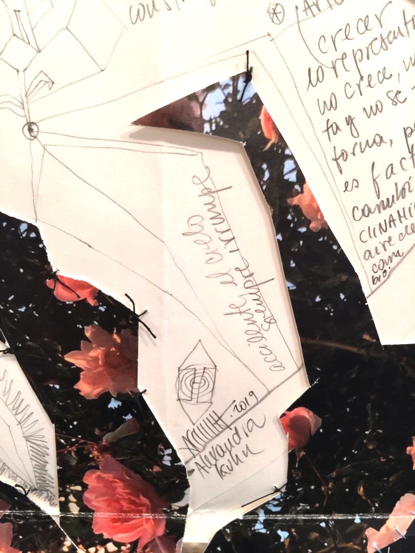 Rosa en tiempos de invierno y otros movimientos