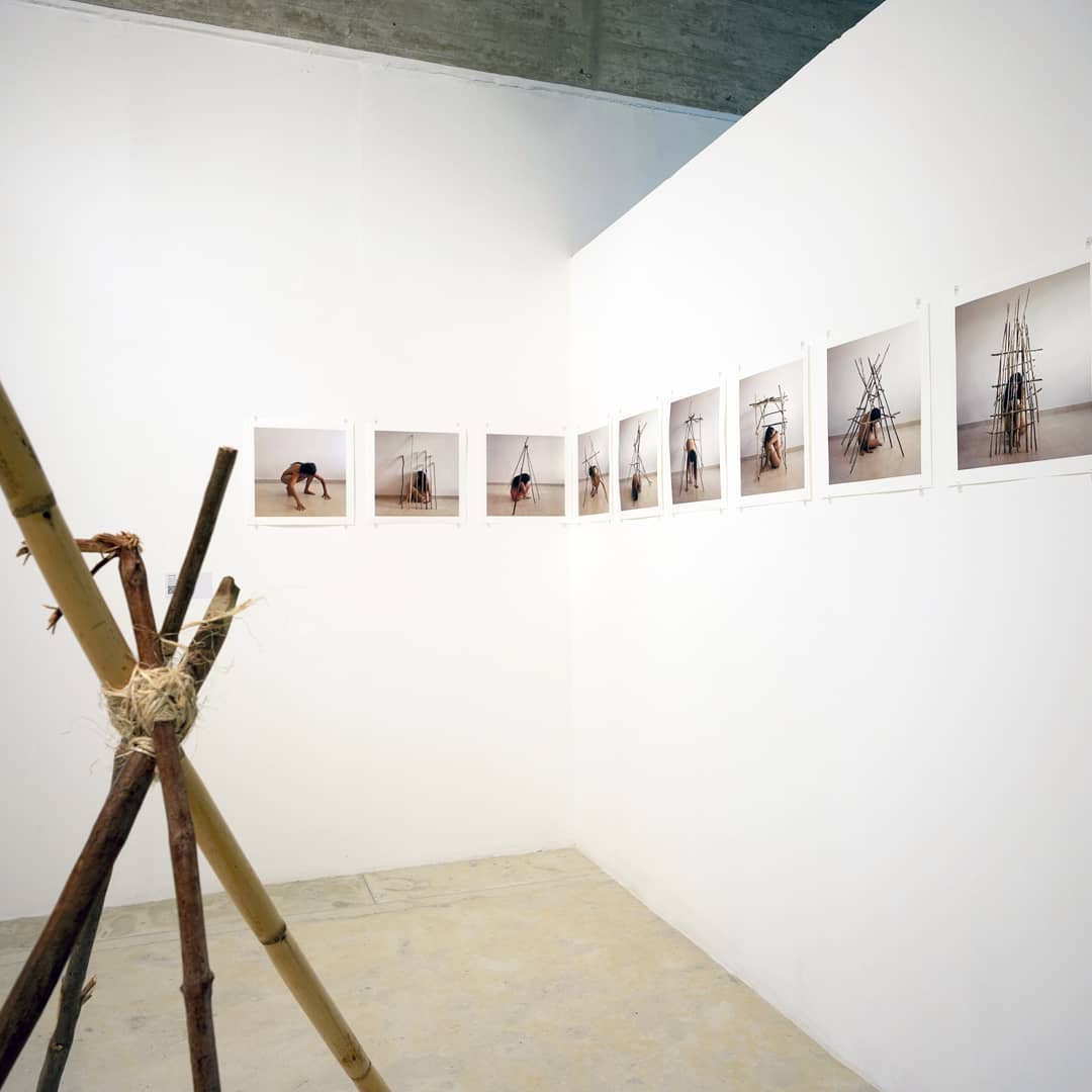 El cuerpo, el entorno y el orden de Analy Trejo