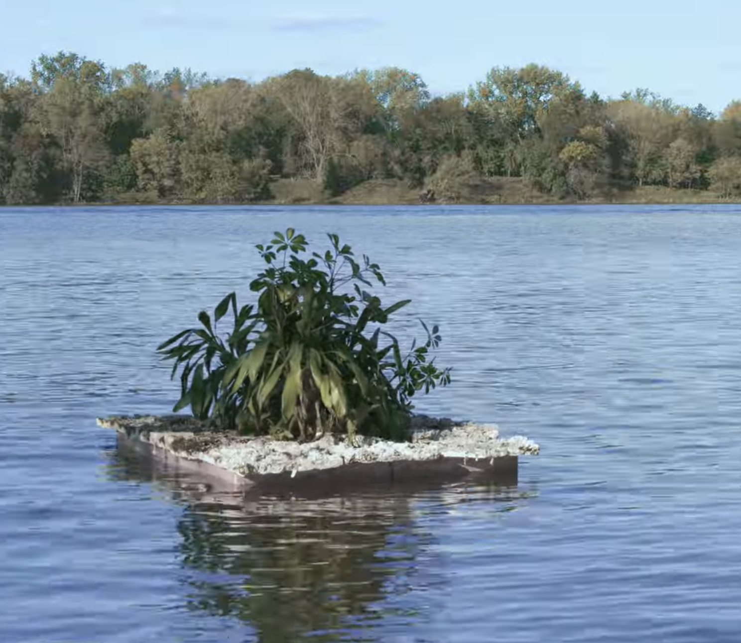 Ana Mosquera artífice de nuevos lugares